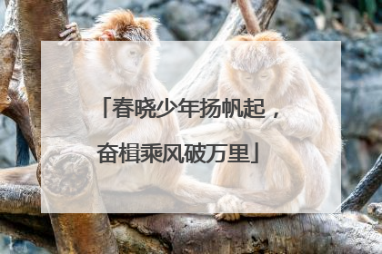 春晓少年扬帆起，奋楫乘风破万里